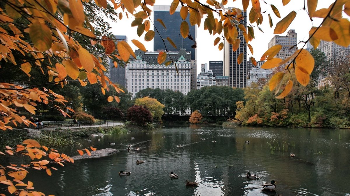 Jättelägenheten som danska UD vill sälja ligger nära Central Park på Manhattan i New York. Arkivbild.
