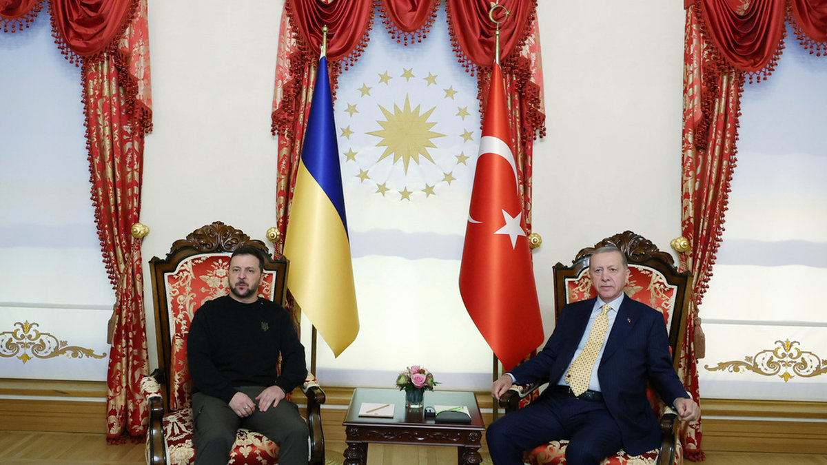 Ukrainas president Volodymyr Zelenskyj och Turkiets president Recep Tayyip Erdogan i Istanbul.