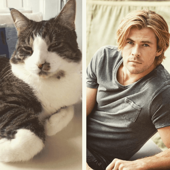 Chris Hemsworth. Chris Hemsworth.