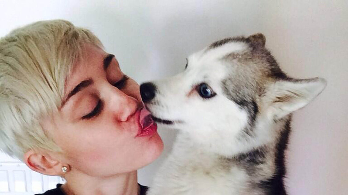 Mileys hund gick nyligen bort vilket tog hårt på stjärnan. 