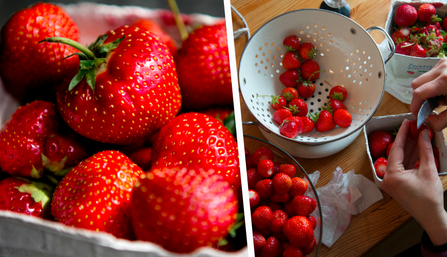 Extrema priser på jordgubbar till midsommar – så dyrt kommer det bli