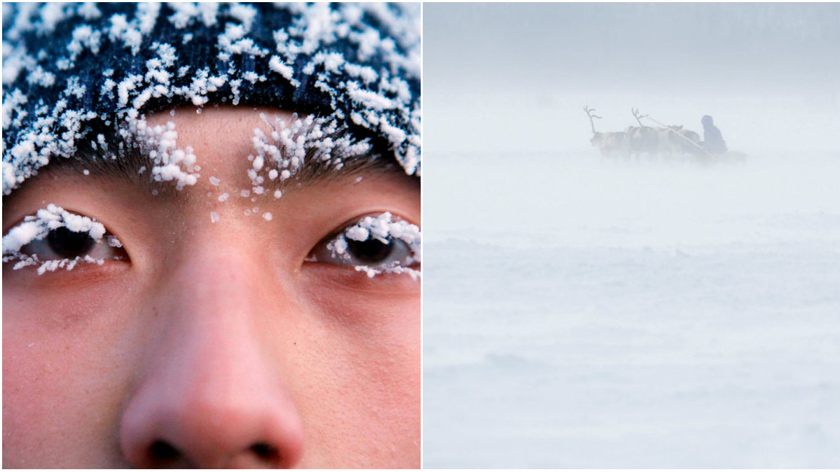 Snacka om svinkallt. Köldrekordet i Ojmjakon i Ryssland är minus 71,2 grader.