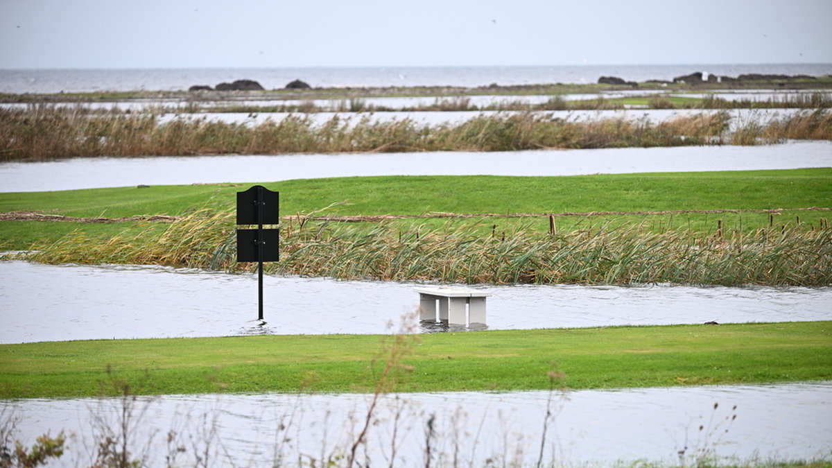 Trelleborgs golfklubb fick stängas av efter ovädret Babet som fällde träd och fick havet längs Skånes sydkust att stiga med 1,5 meter. Arkivbild.