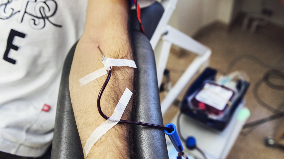 Regeringen vill se en ändring av reglerna för blodgivning. Arkivbild.