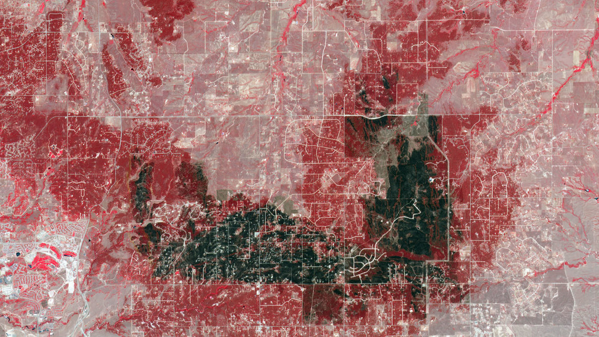 Colorados stora brand i juni där 500 hem förstördes och två personer dog. Det svarta och gråa på bilden är där elden härjat. Obränd stäpp är rosa och obränd skog är röd. 