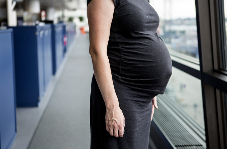 Gravid. Gravid.