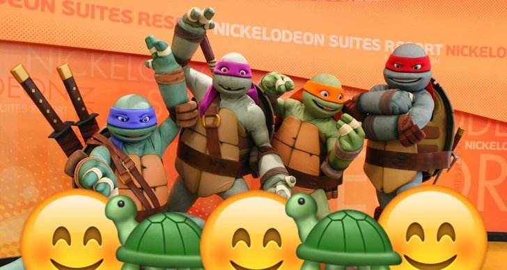 Turtles, Teenage Mutant Ninja Turtles, Quiz