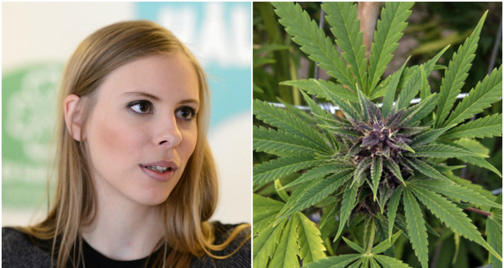 Cannabis, Legalisering, Hanna Wagenius, Centerpartiets ungdomsförbund