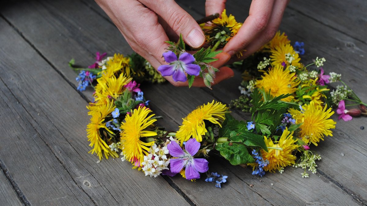 Händer som assemblerar en midsommarkrans med äkta blommor