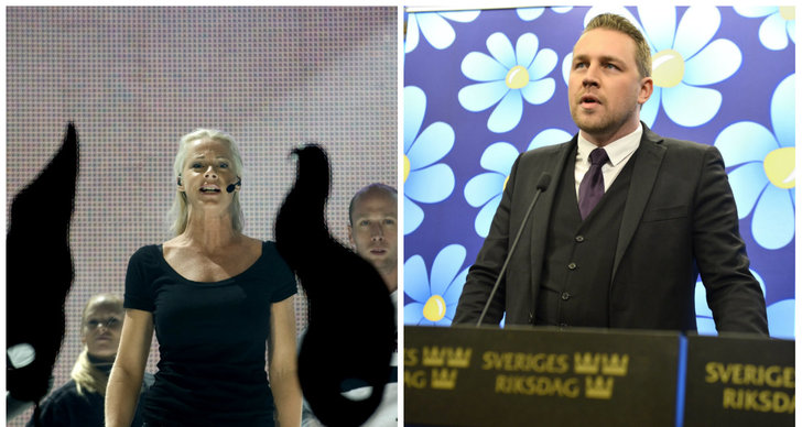 Sverigedemokraterna, Politik, Twitter, Mattias Karlsson