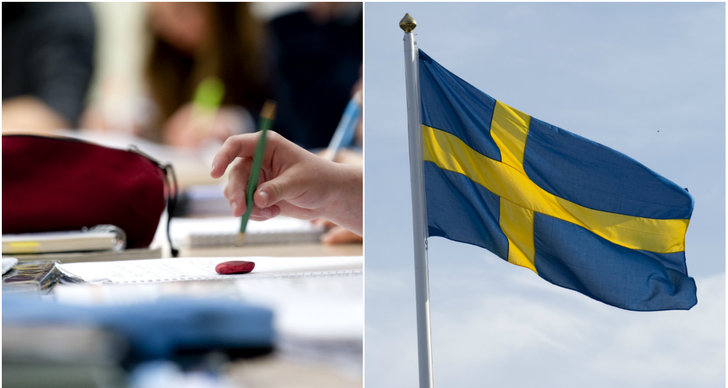 Debatt, Demokrati, Sverigedemokraterna, Skola