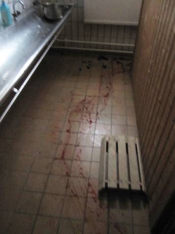 Blod hälldes ut över hela golvet.