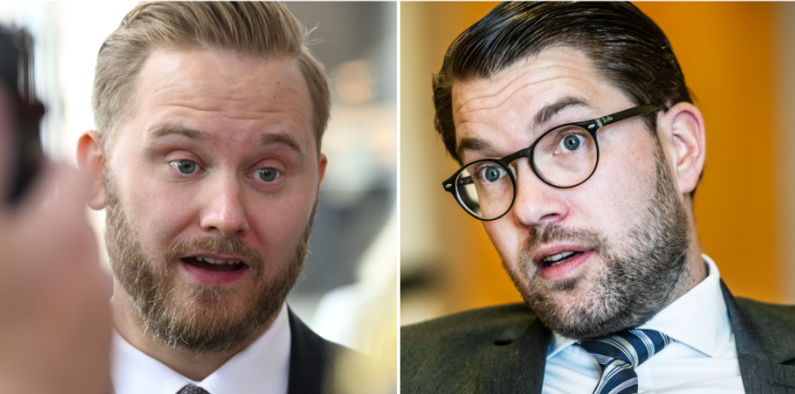 Riksdagen, Lön, Sverigedemokraterna, Valet 2022