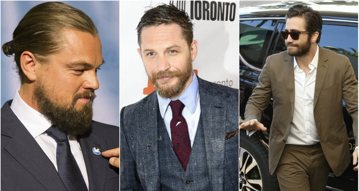 Tom Hardy, Jake Gyllenhaal, pojkvän, Ryan Gosling, skägg, Leonardo DiCaprio, Studie, Justin Bieber