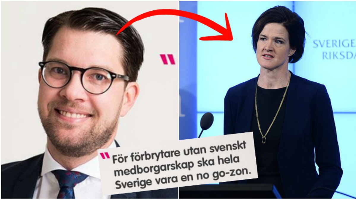 Sverigedemokraterna har ett annat förslag på vad som ska vara "no go-zoner" för kriminella. 