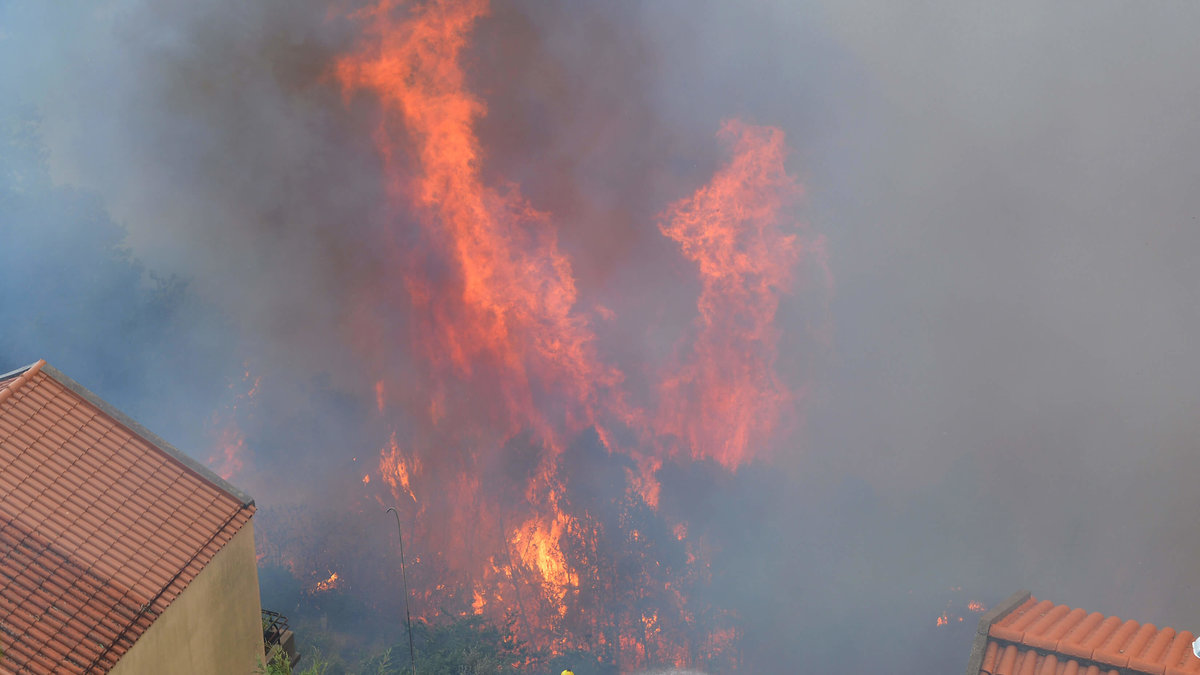 Semesterparadiset Madeira har drabbats hårt. Här brinner det mitt i en förort till staden Funchal.