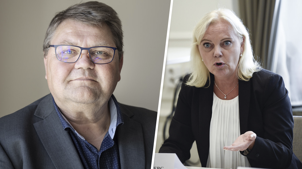 Sverigedemokraterna, Peter Lundgren