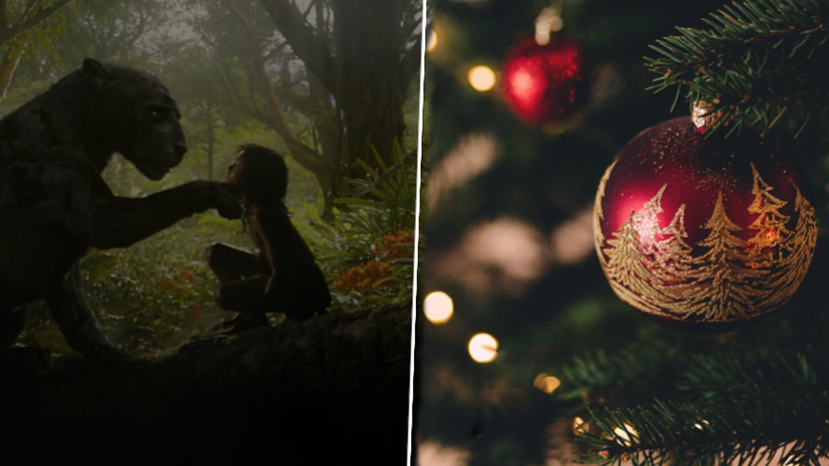 Mowgli och en julgranskula. 