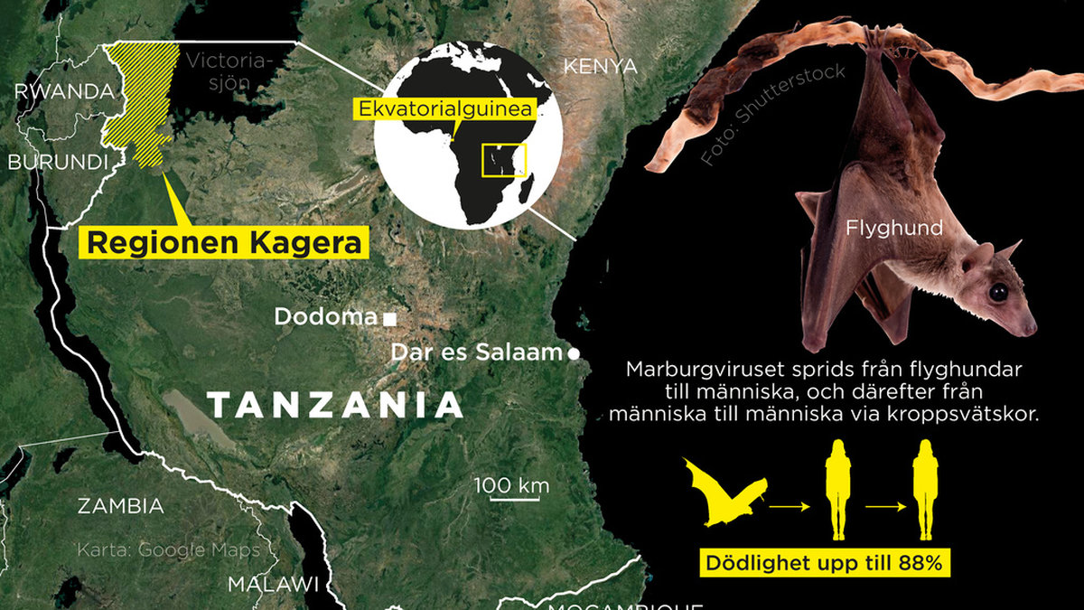 Flera personer har avlidit i den mycket smittsamma blödarsjukdomen marburg i Tanzania.