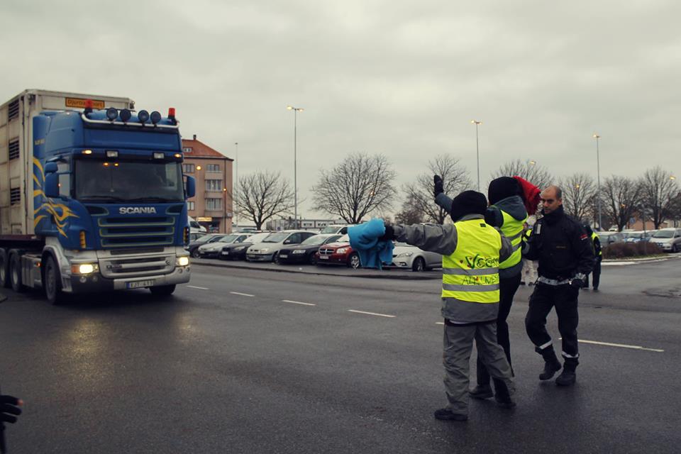 Djurrättsaktivister Djurrättsaktivister