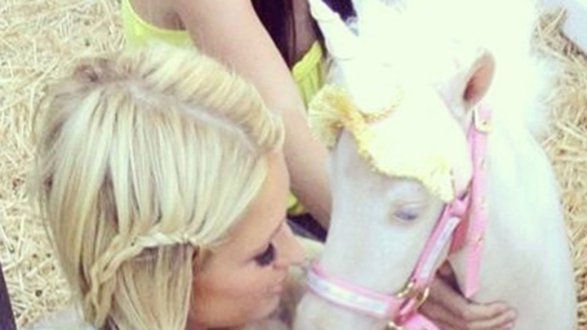 Paris Hilton gosade med en vit ponny.