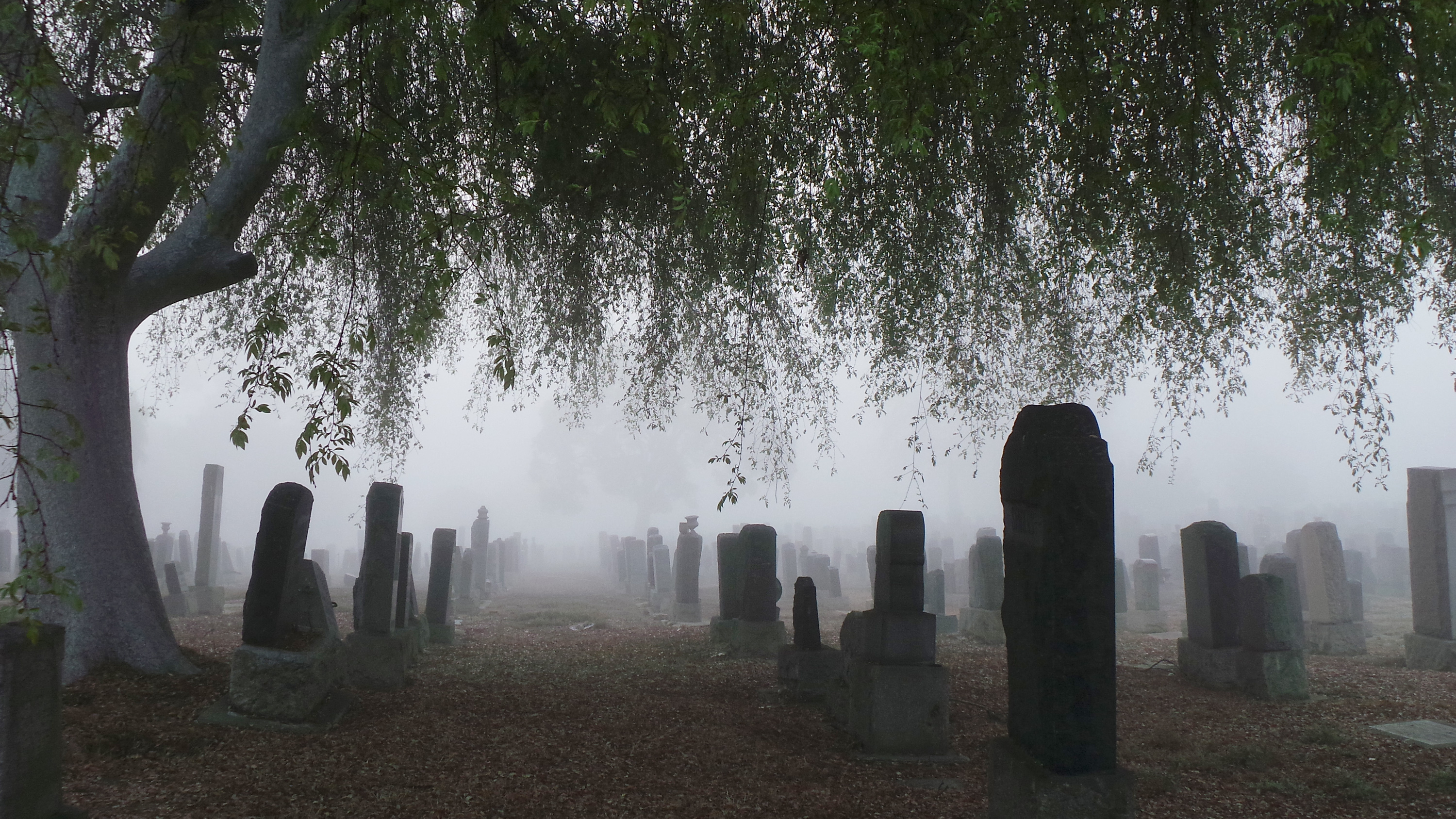 Ödslig dimmig kyrkogård