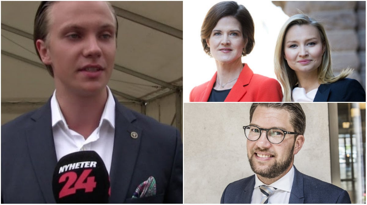 Sverigedemokraterna, Kristdemokraterna, SDU, Moderaterna, ungsvenskar