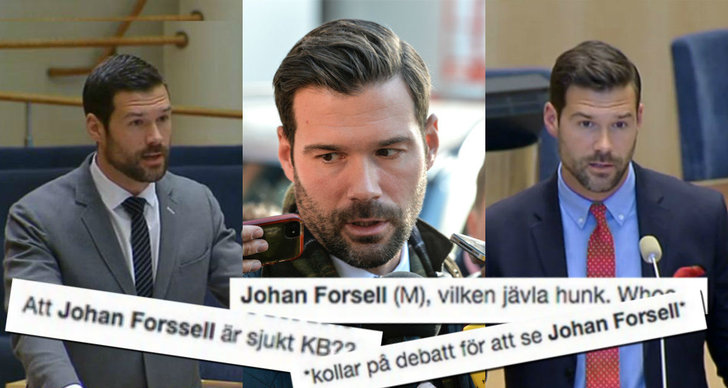 Het, Johan Forssell, Riksdagen, Migration, Snygg, Moderaterna, Hunk