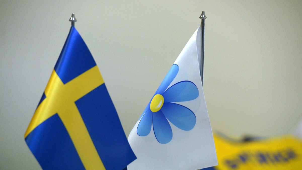 Hagwall sitter i riksdagen för Sverigedemokraterna.