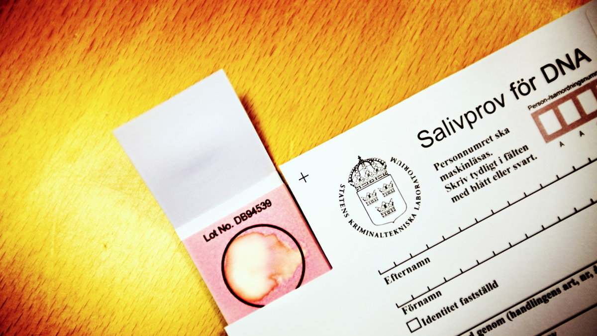 Tolv år efter en gruppvåldtäkt i Malmö matchades en misstänkt gärningsman i ett dna-test. Arkivbild.
