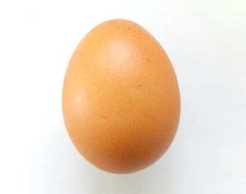 Ägg Ägg