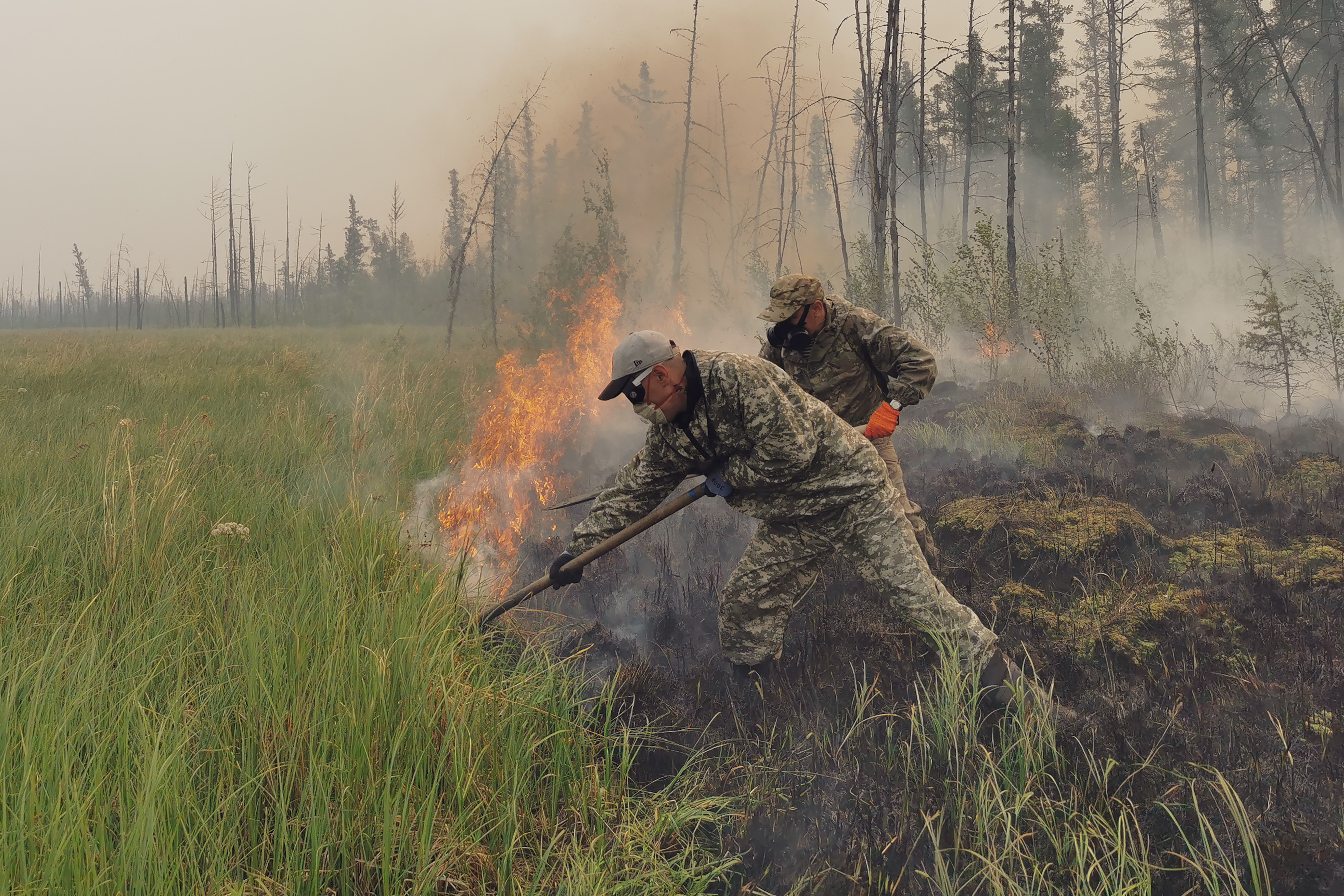 Skogsbrand, Ryssland, Björn, Sibirien