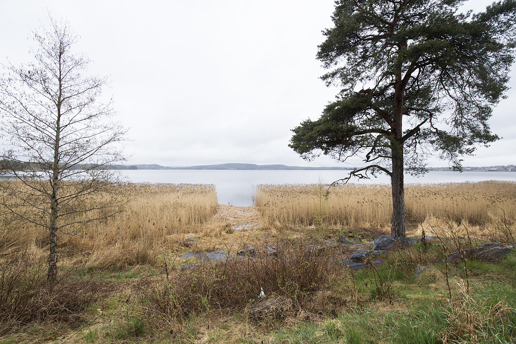 Dottevik Dottevik
