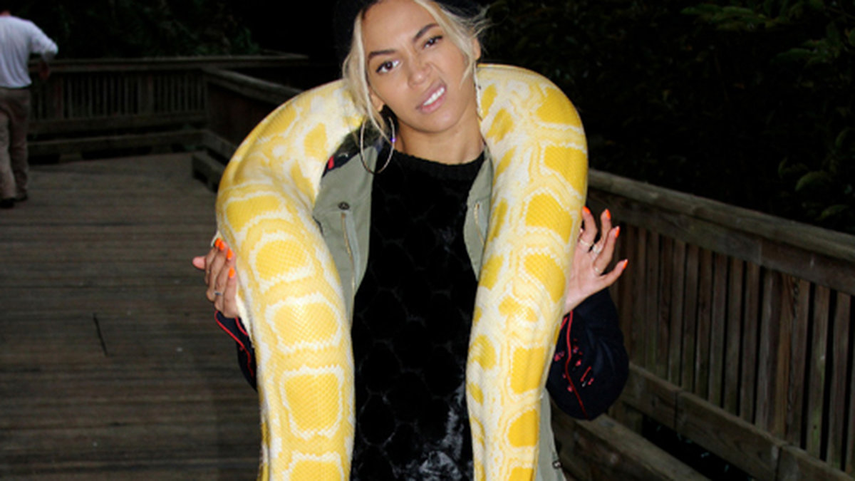 Beyoncé  bjöd även på några bilder där hon var på ett zoo.
