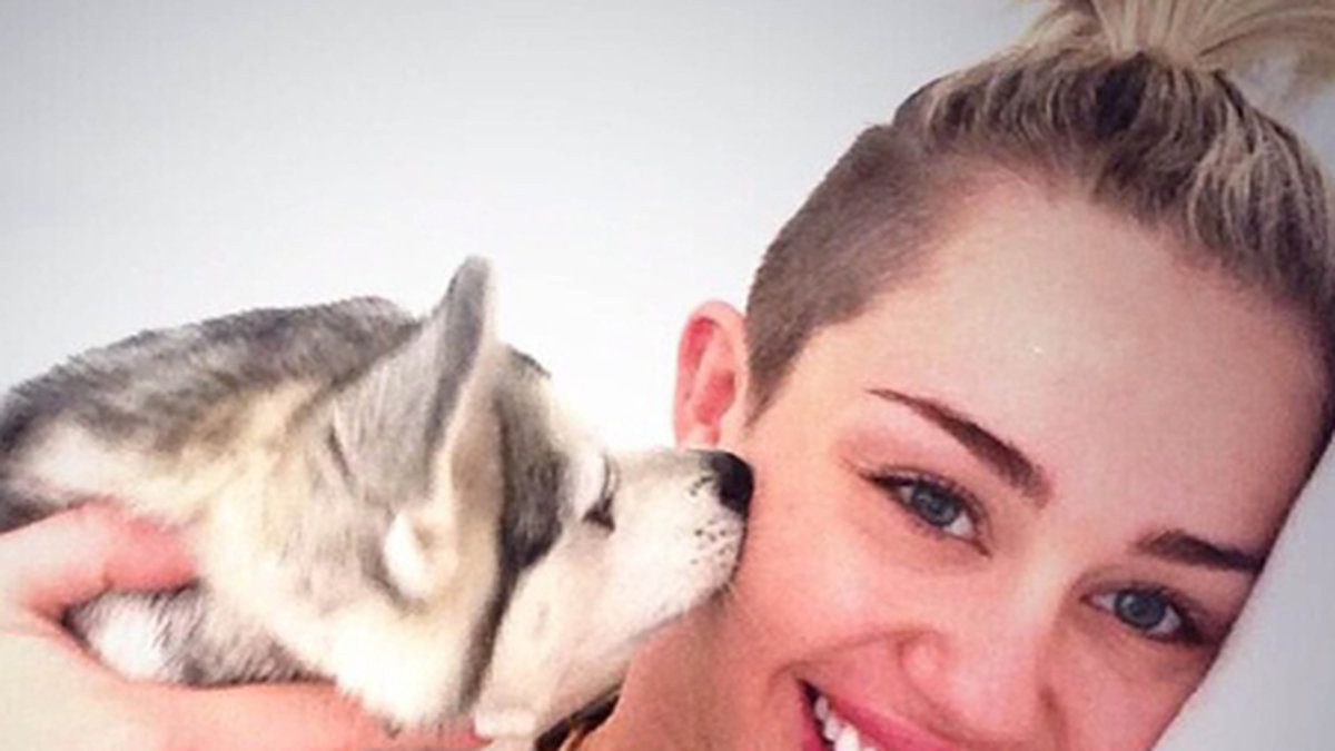 Miley myste med sin hund.