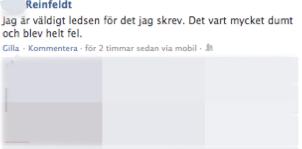 Reinfeldts son ber om ursäkt på Facebook.