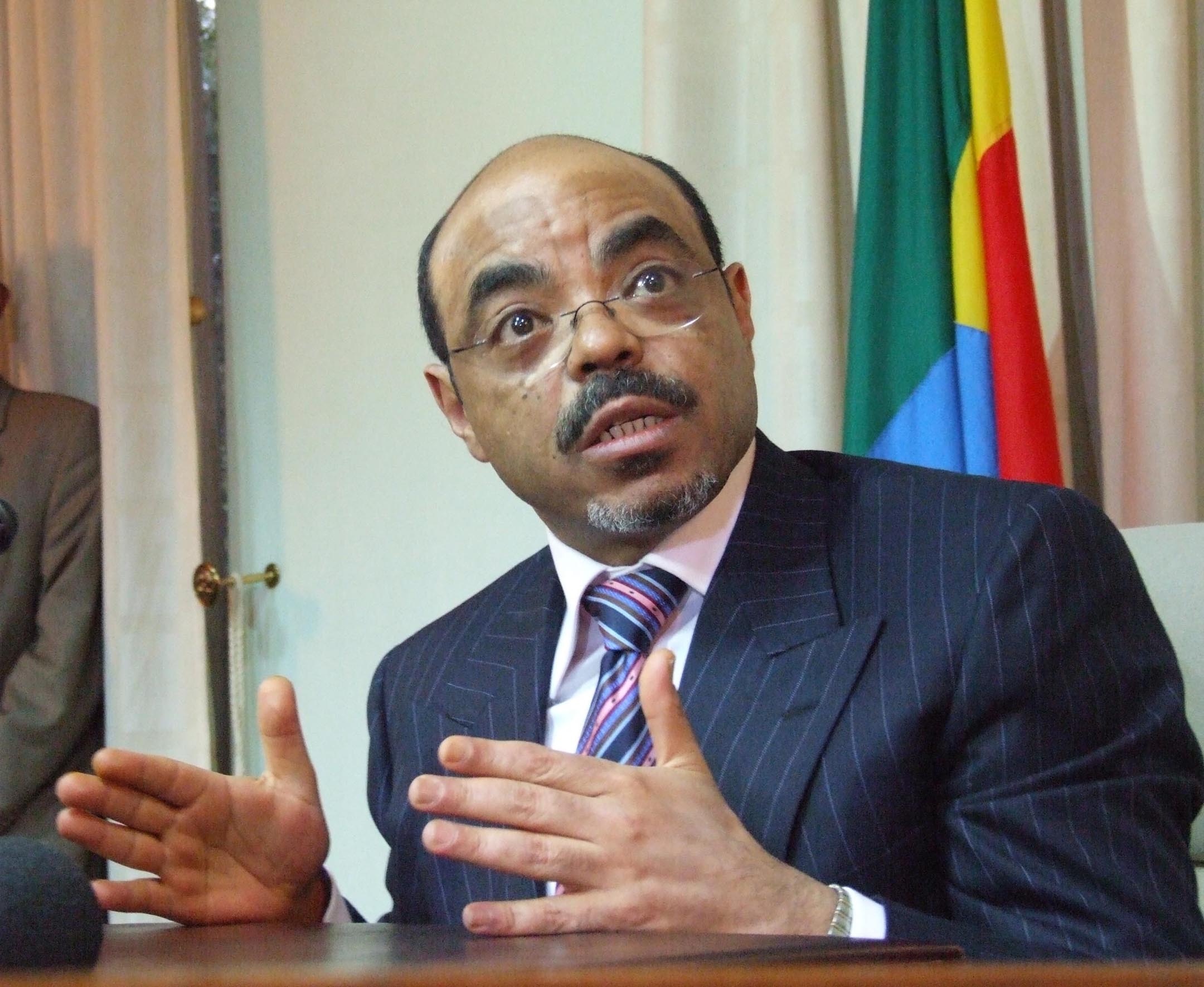 Under sitt besök i Etiopien förde Bildt även samtal med landets premiärminister Meles Zenawi.