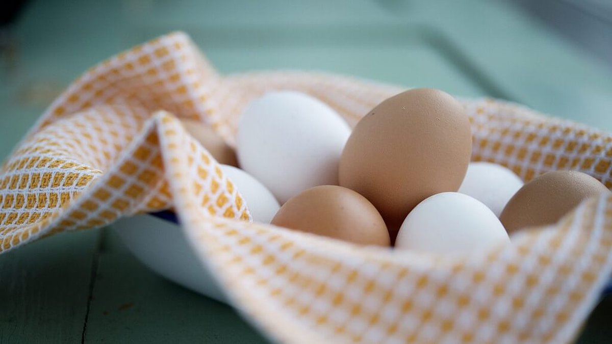 Bruna och vita ägg är lika nyttiga!