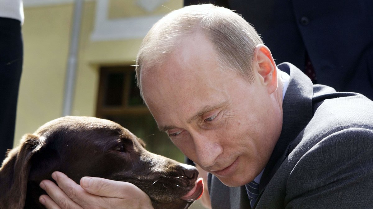 Putins hundar är vana vid rampljuset.
