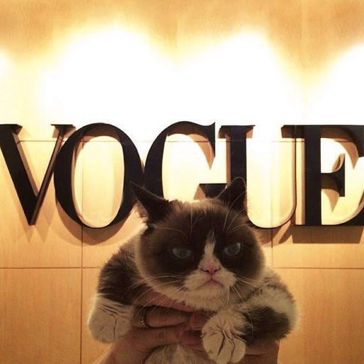 En dag i livet för Grumpy Cat. Självklart var det tråkigt på Vogue. 