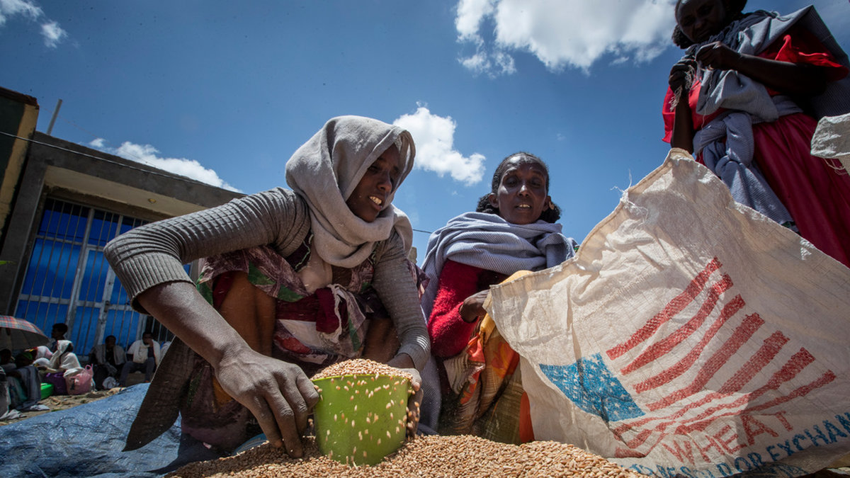 20 miljoner etiopier är i behov av bistånd med anledning av torka och konflikter i landet. Arkivbild.