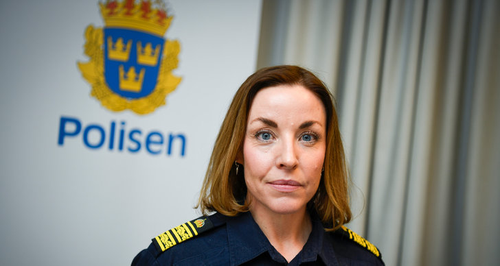 Polisen, TT, Säkerhetspolisen, Sverige