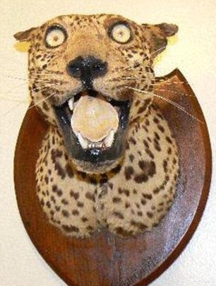 Leoparden som aldrig sover. Leoparden som aldrig sover.