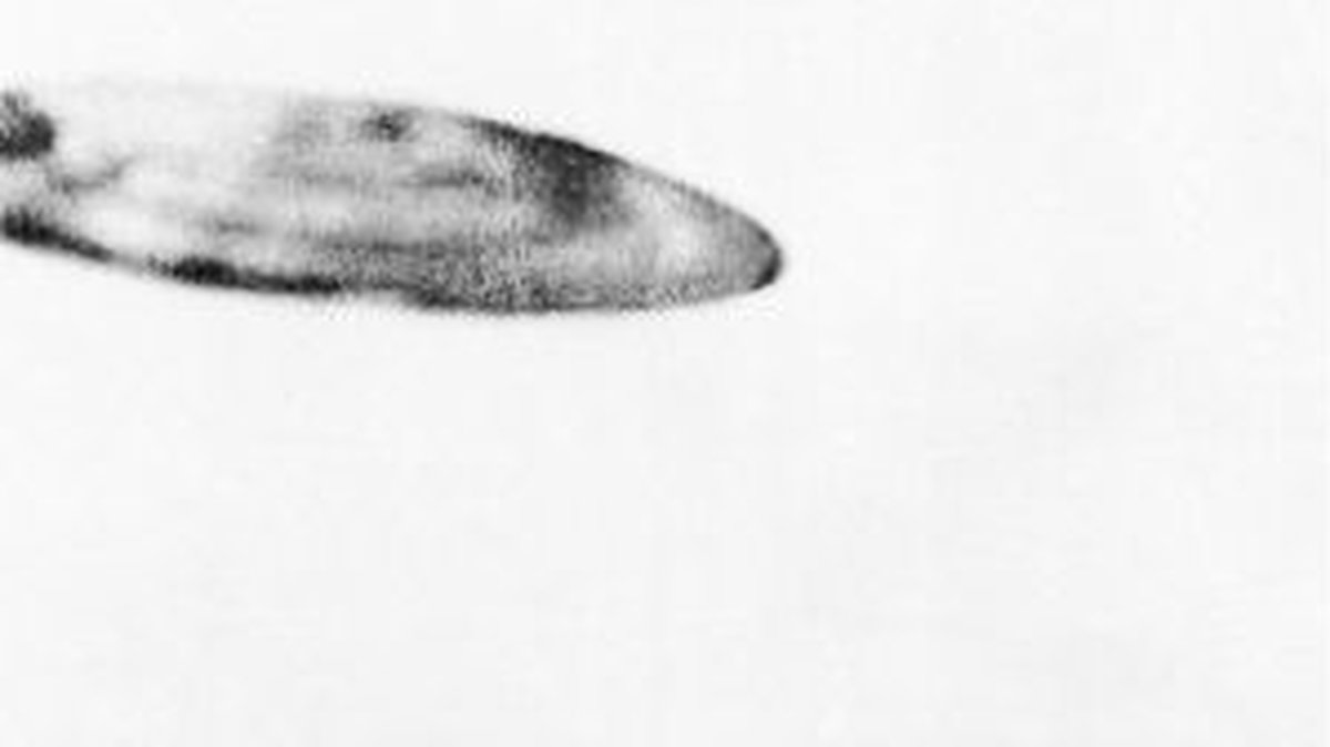 Michael Savage, då 15 år, testade sin nya kamera i juli 1956 och tog den här bilden av misstag. Han ska ha sagt att han själv såg det flygande objektet under ungefär 30 sekunders tid, innan det försvann bort mot horisonten.