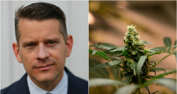 Debatt, Marcus Birro, Cannabis