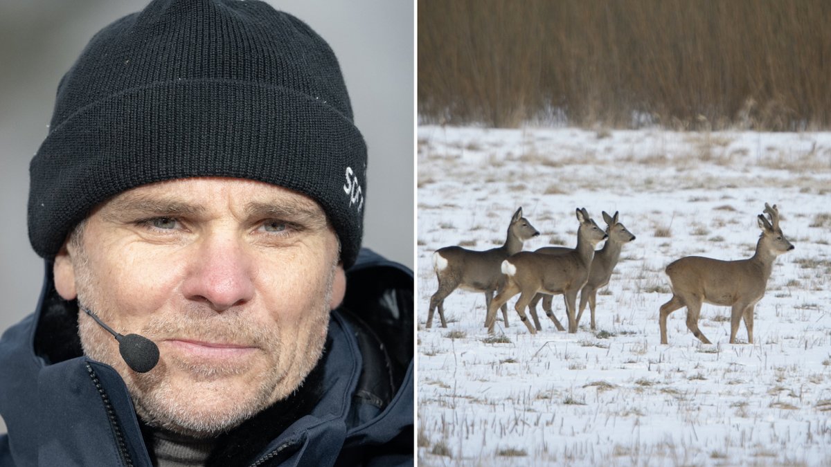 SVT-experten Anders Blomquist har åkt dit för jaktbrott. 