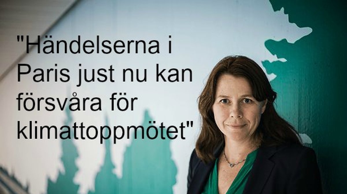 Vice statsminister Åsa Romson twittrade om klmattoppmötet. 