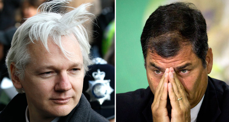 Politisk asyl, Ambassad, Wikileaks, Julian Assange