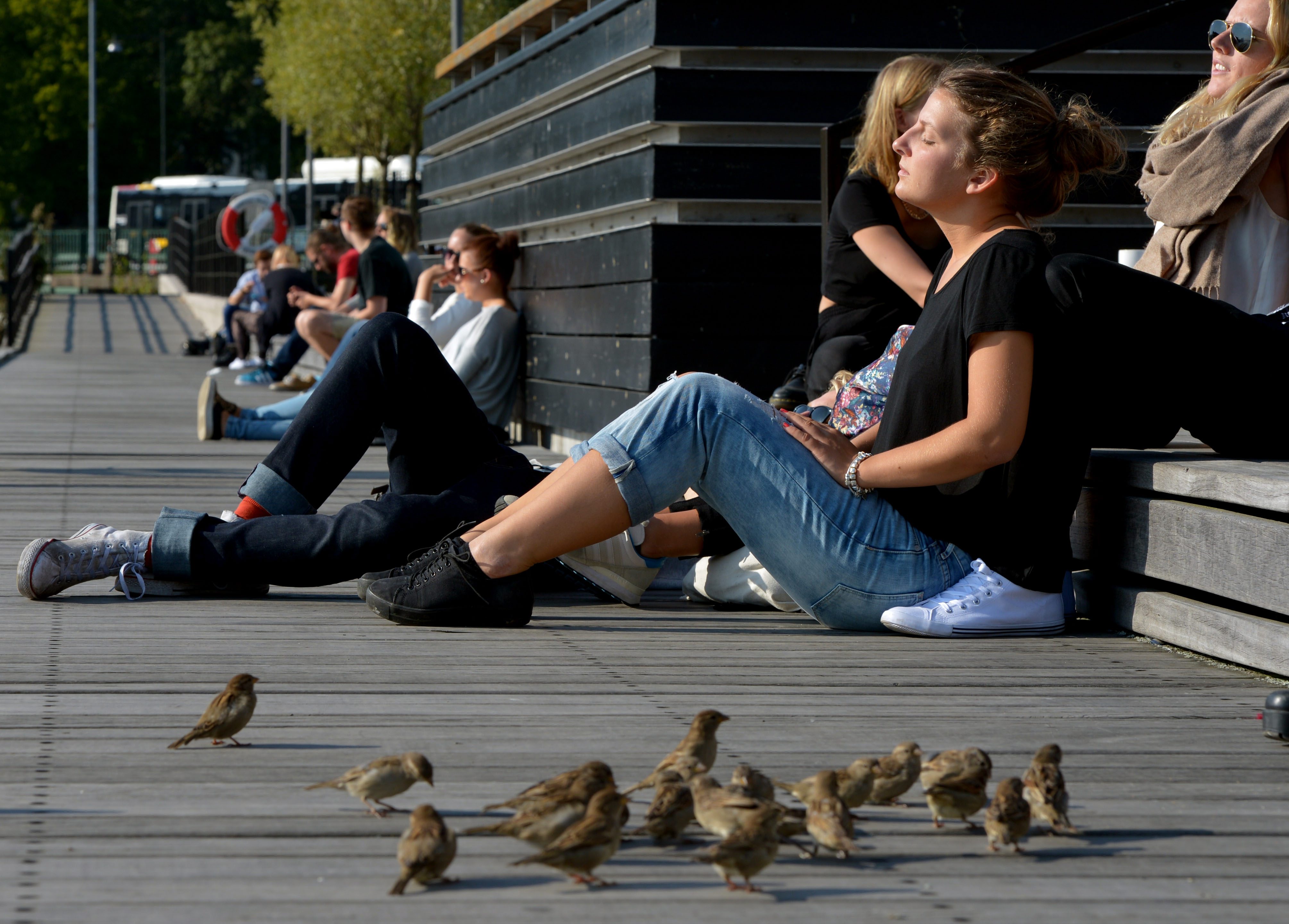 En plats i septembersolen för folk och fåglar i Jönköping på fredagen. Helgen bjuder på sommartemperaturer i södra Sverige, men på måndag väntar höstväder. 