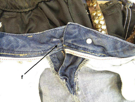Bland annat finns blod som matchar med 35-åringens DNA på knäppningen på de jeans Lisa Holm bar. Bland annat finns blod som matchar med 35-åringens DNA på knäppningen på de jeans Lisa Holm bar.